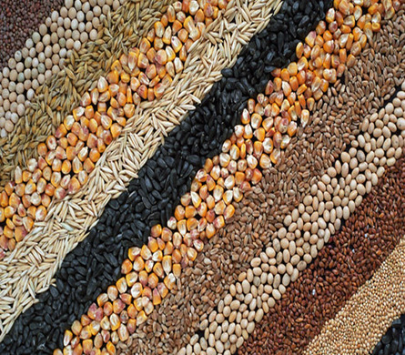 Full-fat soybeans, grain crops